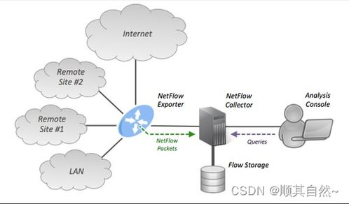 网络遥感技术 从主动与被动探测到NetFlow与INT的演进与实践